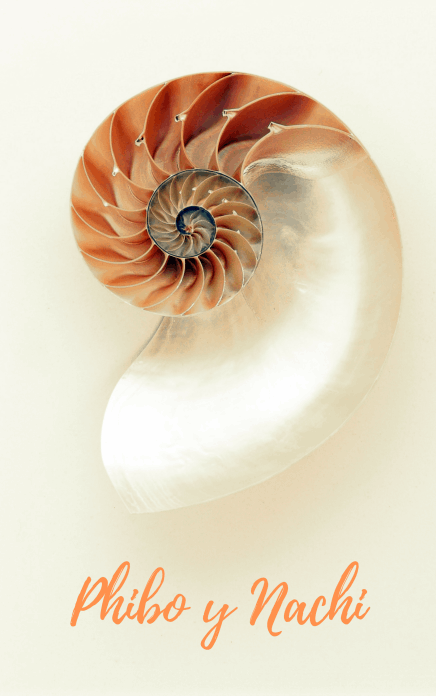 Relato Corto Phibo y Nachi